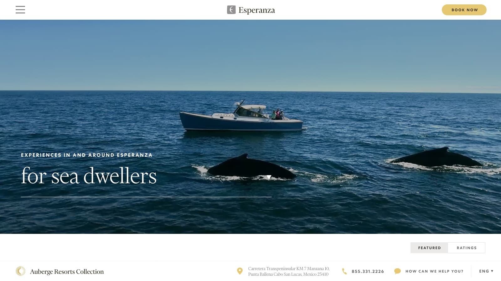 experience experience